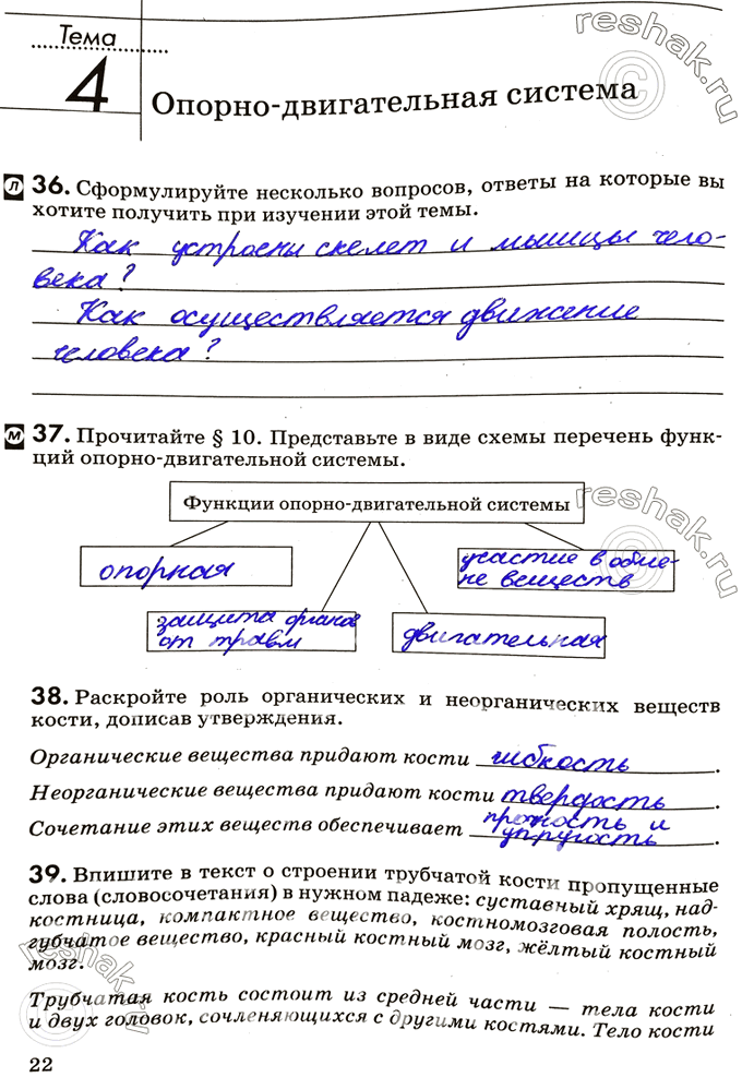 Изображение Тема 4. Опорно-двигательная система36. Сформулируйте несколько вопросов, ответы на которые вы хотите получить при изучении этой темы.37. Прочитайте § 10. Представьте...